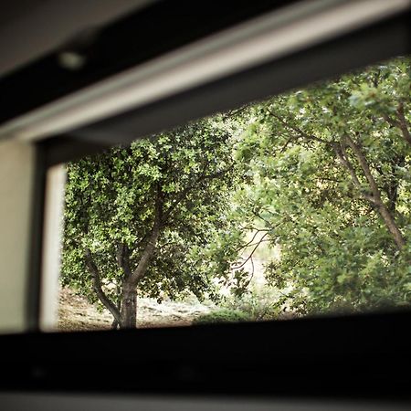 L'Ecrin Daire Algajola  Dış mekan fotoğraf